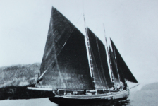 The sailing schooner Iris and Verna, a 34-ton vessel in 1938. It was owned by Alberto Wareham, named after his two daughters and operated under assignment through W.W.Wareham &amp;amp; Sons Ltd., Harbour Buffett.&amp;nbsp; According to Ernie Walsh’s notes, the skipper was his father Din Pat Walsh who skippered this sailing fishing vessel for six full seasons between 1930 and 1938 from April to October. Some of the crew men from Merasheen were Amelius Best, Jack Barry, Jim Ennis, Johnny Barnett, Mickie Connors, Bill Barnett (a seasoned splitter), Tom Best, Jim Connors, Tom Hann, Peter Pittman, Neddy Fitzgerald, Billy Best, Jim Barry, and Leo Pomroy. Just to name a few more from the Bay, the Mate was always Mr. Billy Bennett from St. Ann's whenever he signed on for the voyage. Joining the voyages were Lar Walsh from Beckford’s Cove, Gerald Gambin, St. Ann's; Phonse Lockyer, Martin Gaulton, Jimmy Caul, Isle Valen; Cletus Parsons, Jimmy Follett, Johnny Follett, Neil Parsons, Clattice Harbour; Frank Best, Tacks Beach.